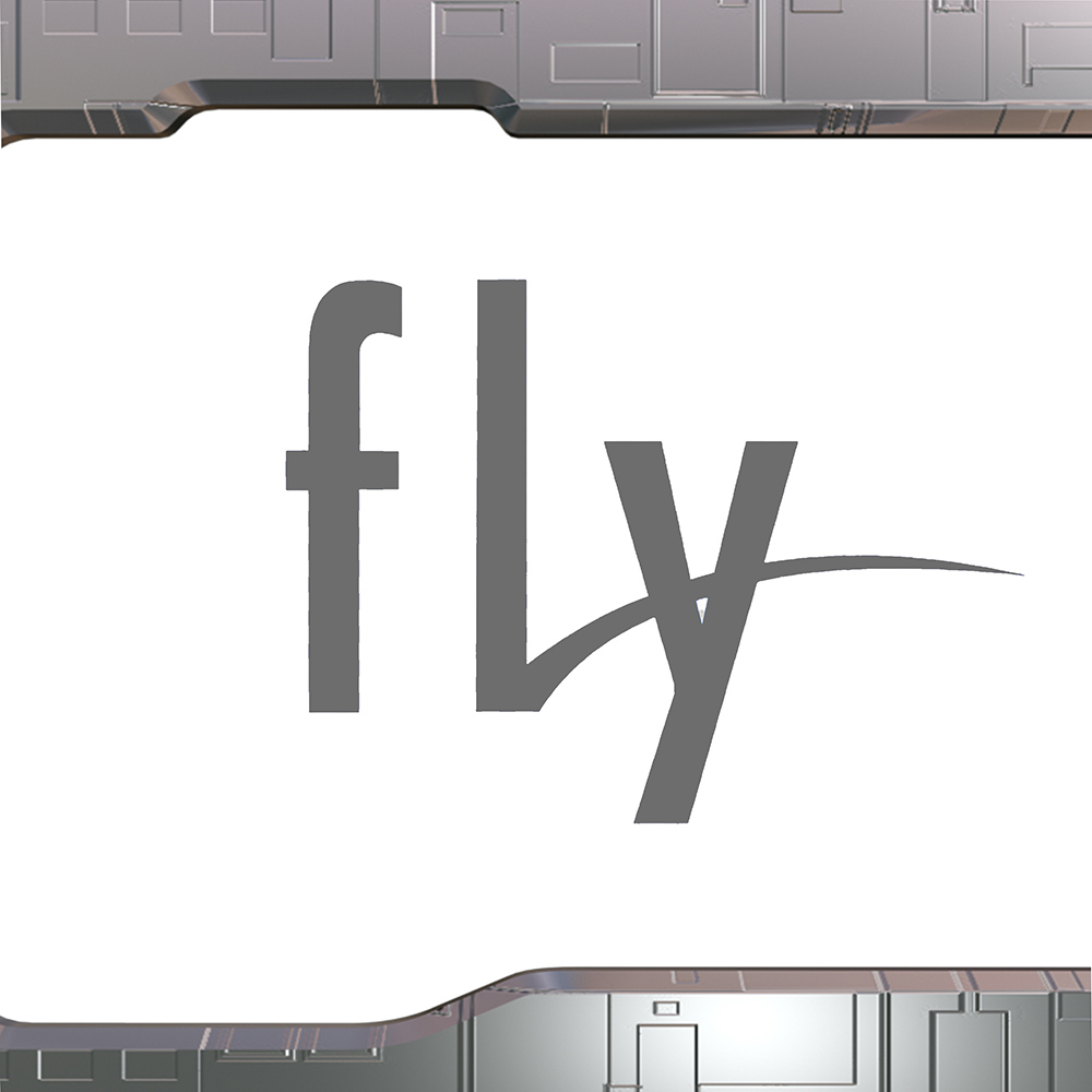 Тачскрины для телефонов Fly